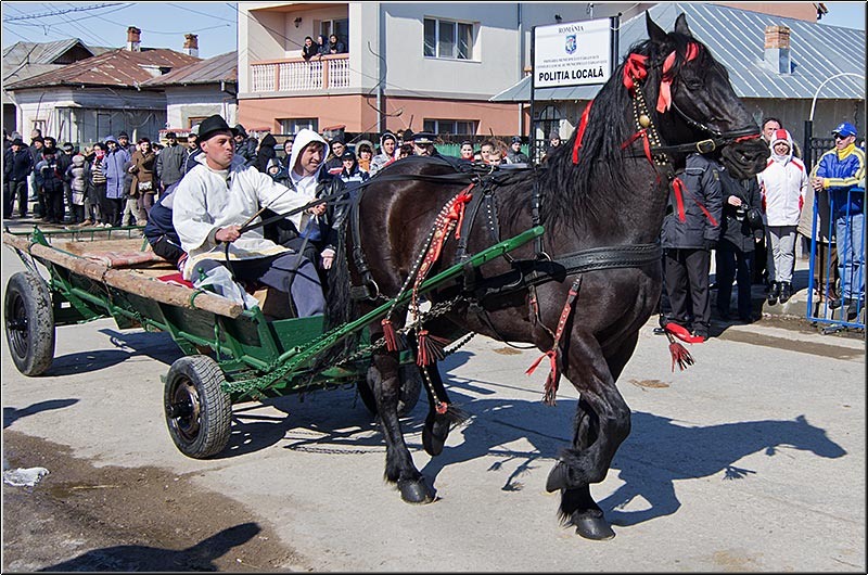 serbanvornicu_pastelecailor2012_32