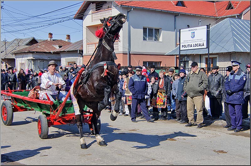 serbanvornicu_pastelecailor2012_33