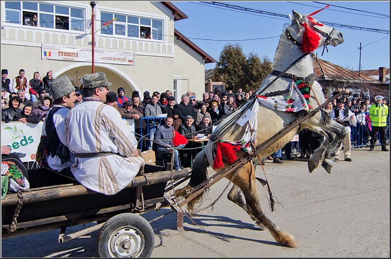 serbanvornicu_pastelecailor2012_35