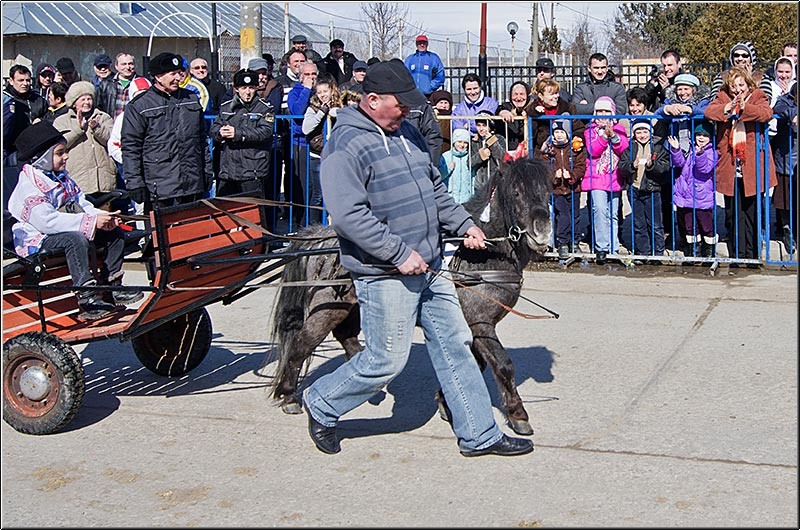 serbanvornicu_pastelecailor2012_37