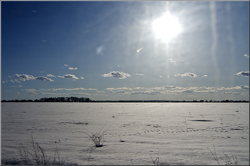 serbanvornicu_pastelecailor2012_39