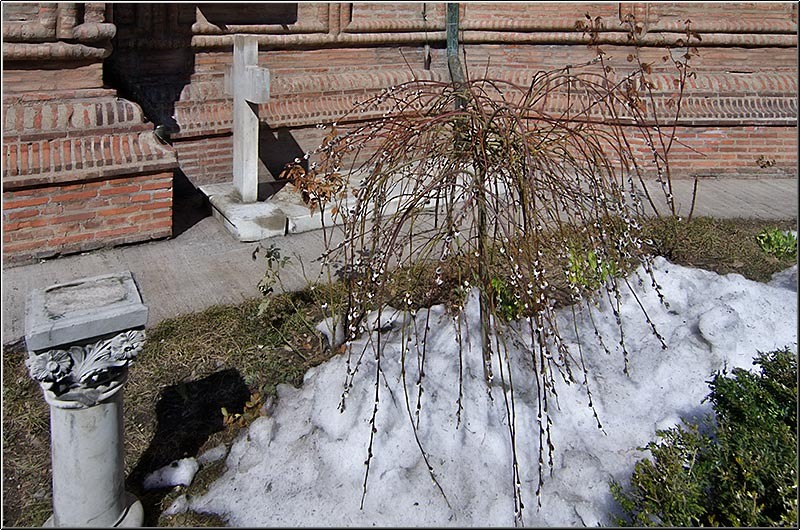 serbanvornicu_podulcalicilor_03