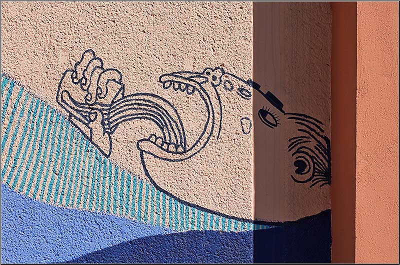 serbanvornicu_podulcalicilor_10