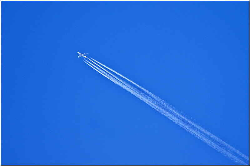 serbanvornicu_podulcalicilor_14