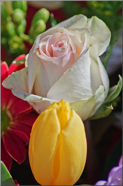 serbanvornicu_podulcalicilor_19