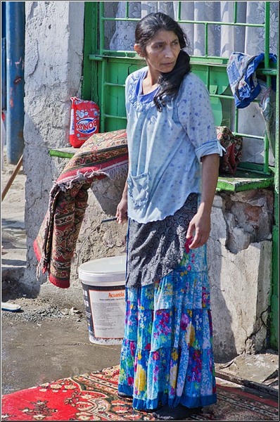 serbanvornicu_podulcalicilor_22