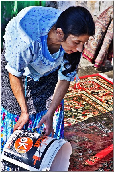 serbanvornicu_podulcalicilor_23