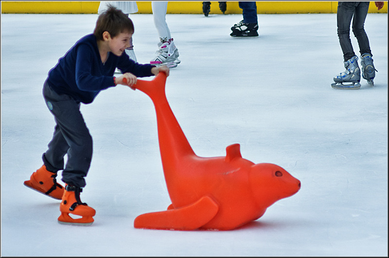 serbanvornicu_podulcalicilor_29