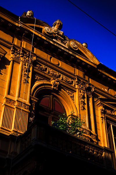 covaci_petre-mihai_013