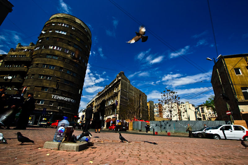 doamnei_petre-mihai_003