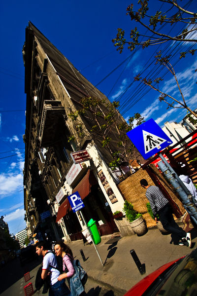 doamnei_petre-mihai_005