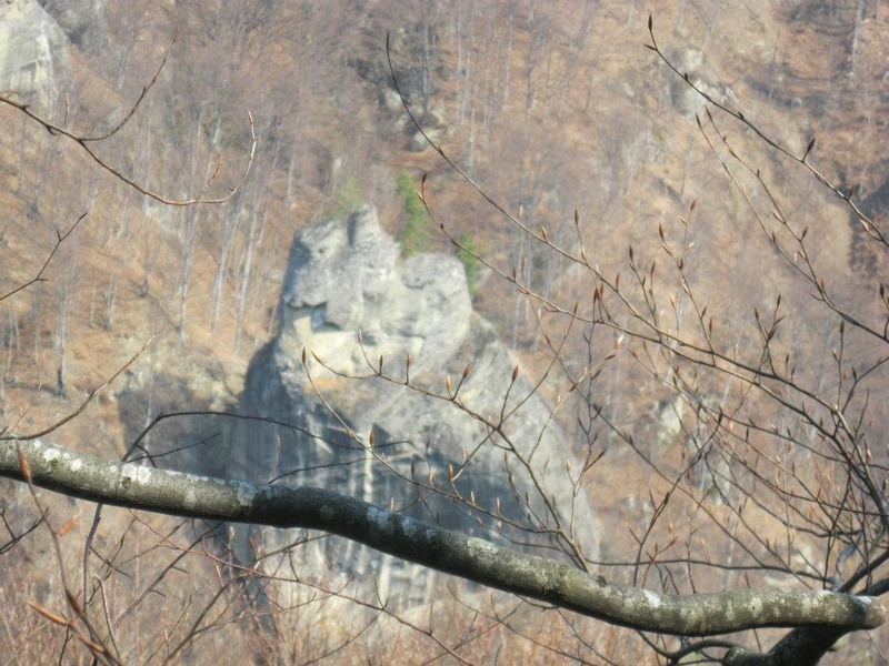 292616_254334211326725_100002504430994_511694_636115492_n