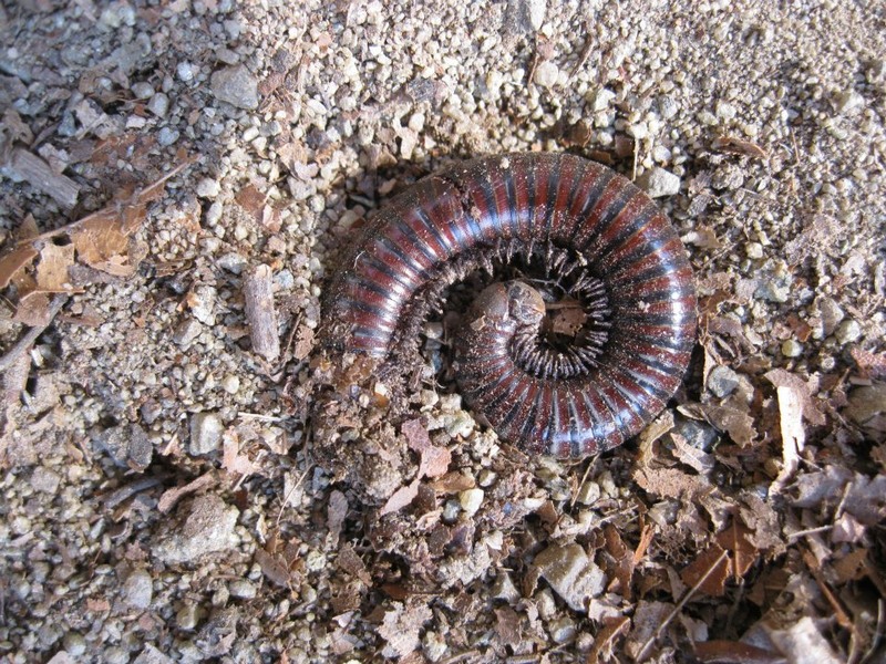 306604_254330161327130_100002504430994_511574_1850259806_n