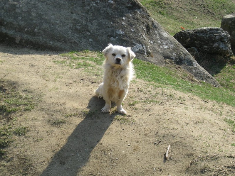 403781_254329364660543_100002504430994_511551_1995102200_n