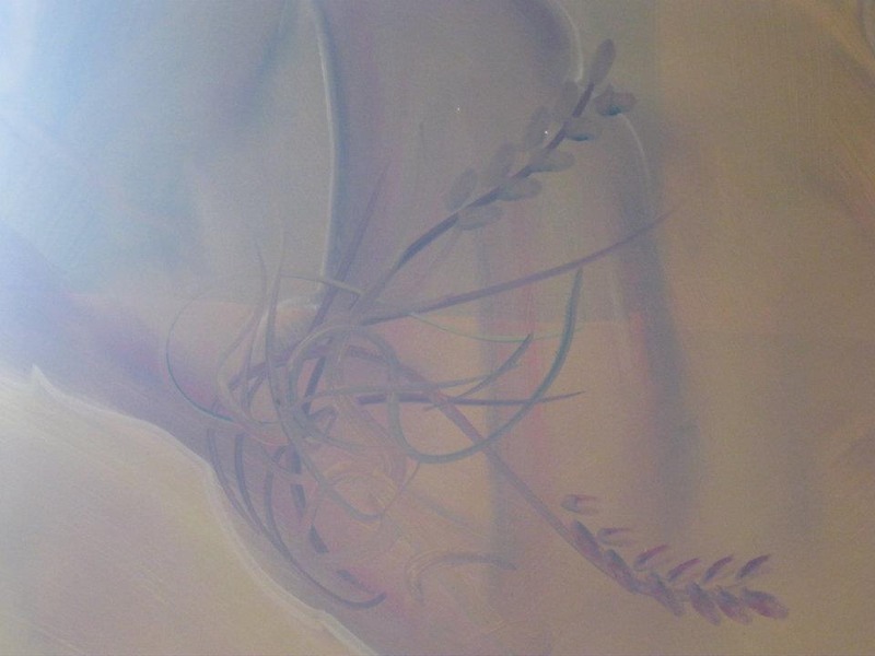 485752_254334674660012_100002504430994_511710_1213334137_n