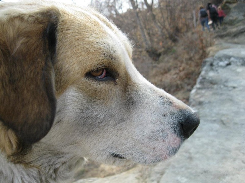 522852_254334347993378_100002504430994_511698_547813970_n