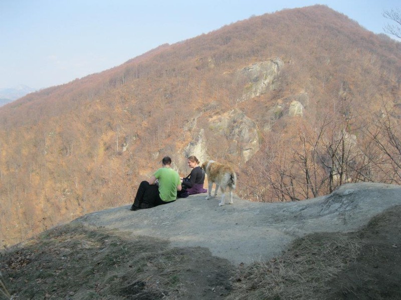 524191_254333687993444_100002504430994_511682_691417166_n