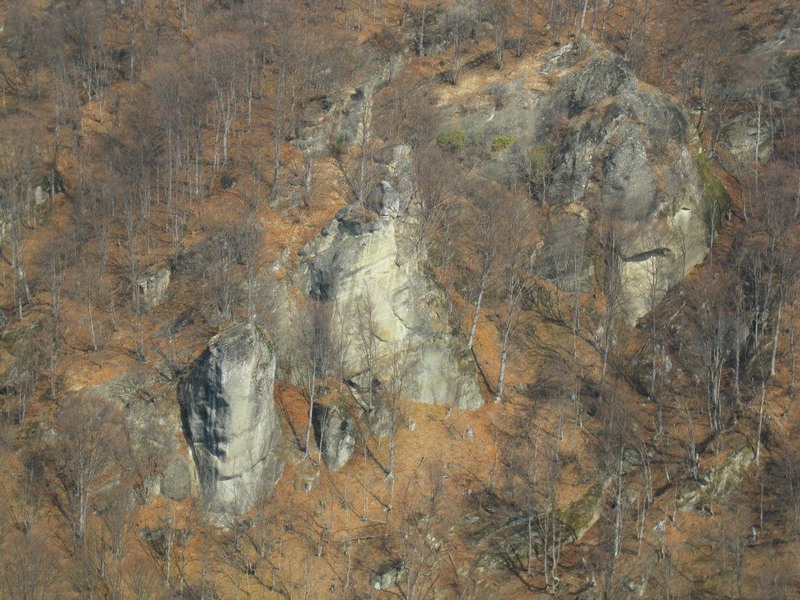 527382_254334311326715_1664032896_n