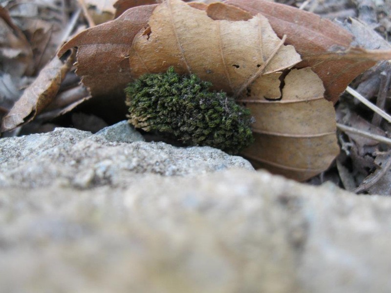 528752_254330064660473_100002504430994_511570_1507888606_n