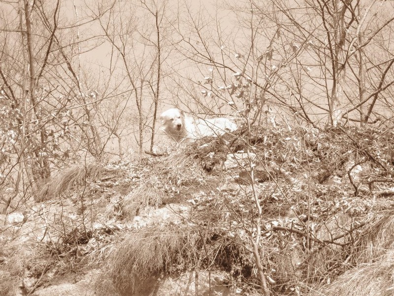 529344_254331267993686_100002504430994_511606_1779528312_n