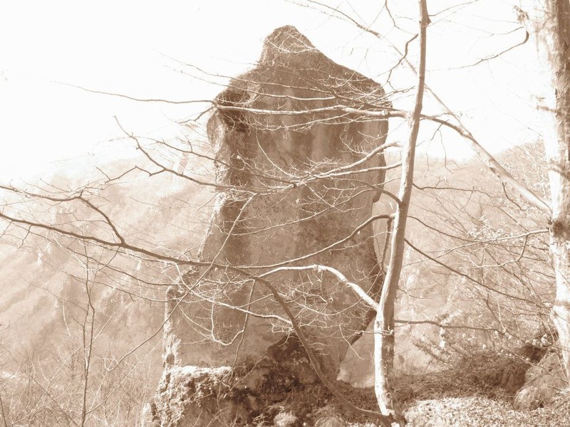 555257_254331231327023_100002504430994_511605_155685835_n