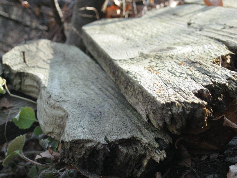 562516_254334121326734_100002504430994_511692_1127795314_n