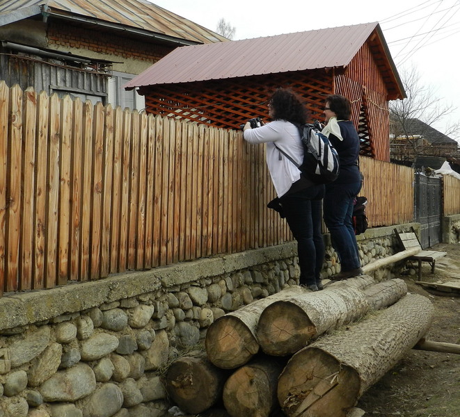 In padurea cu alune aveau casa doi pitici