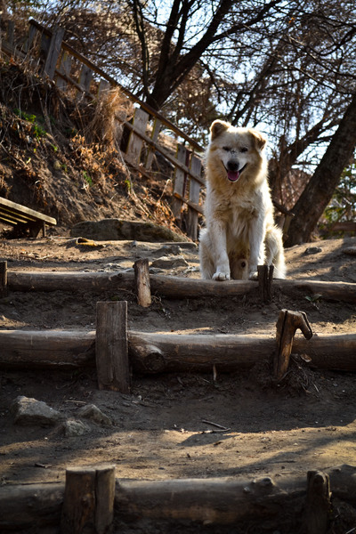 biserici-rupestre-arges-55