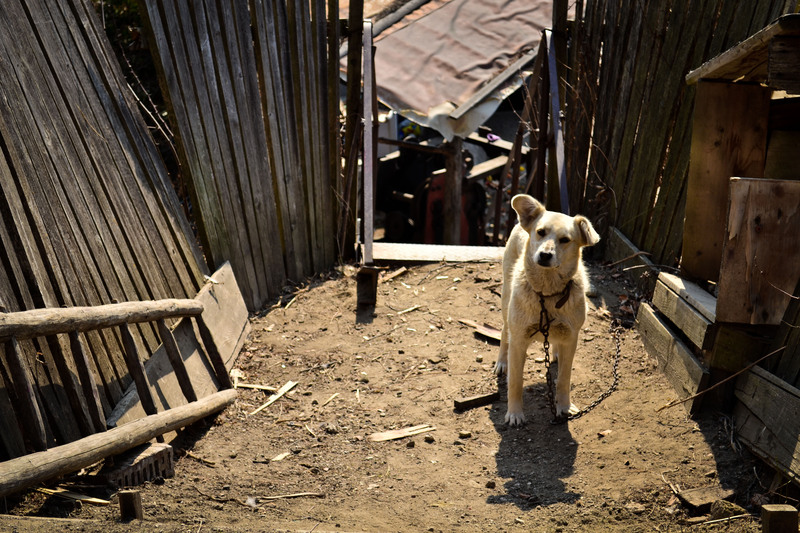 biserici-rupestre-arges-95