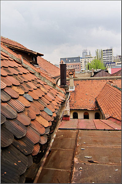 serbanvornicu_bibliotecanationala_32