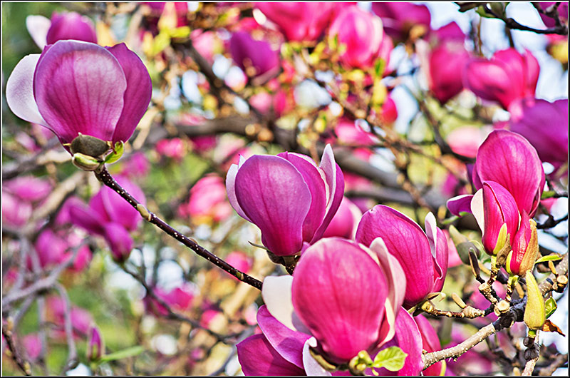 serbanvornicu_muzeulaviatiei_27