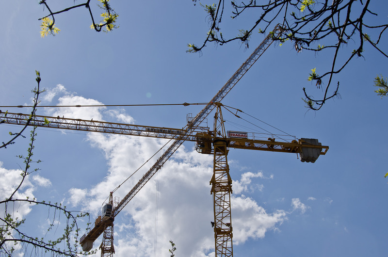 Macarale rad in soare