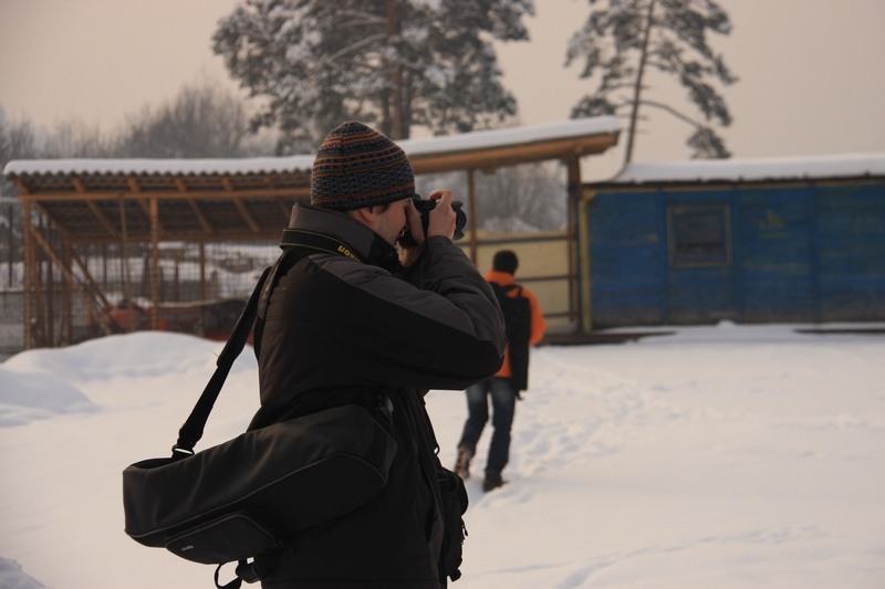 andreip-de-alexandra