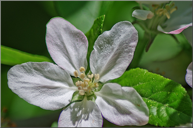 serbanvornicu_bazilescu_07