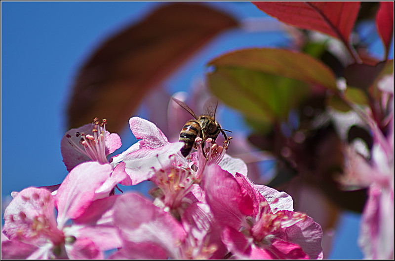 serbanvornicu_bazilescu_13