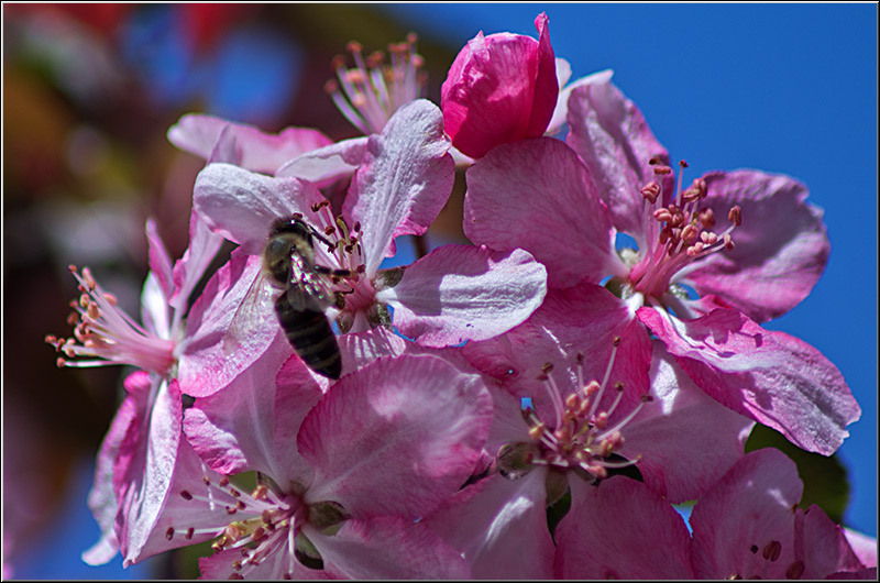 serbanvornicu_bazilescu_14