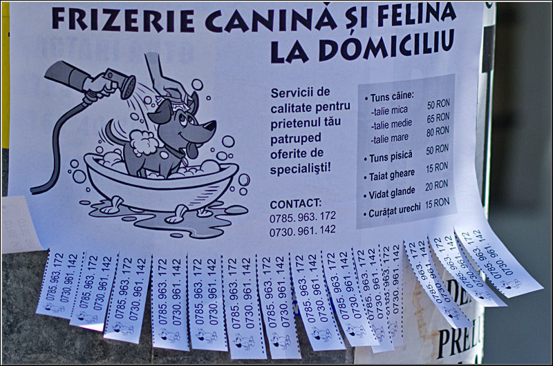 serbanvornicu_bazilescu_24