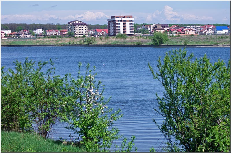 serbanvornicu_bazilescu_26