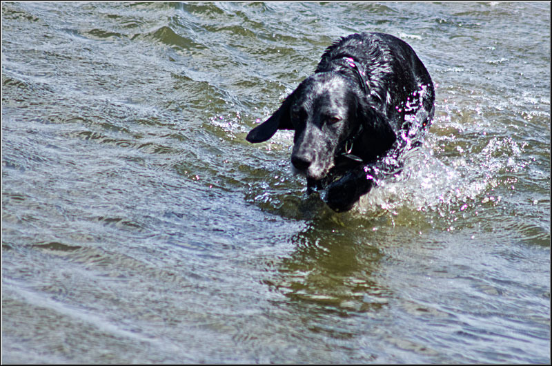 serbanvornicu_bazilescu_28