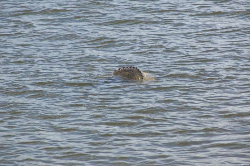 There's no need to fear