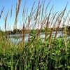 20090620_cboro_11