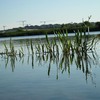 20090620_cboro_12