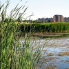 20090620_cboro_13
