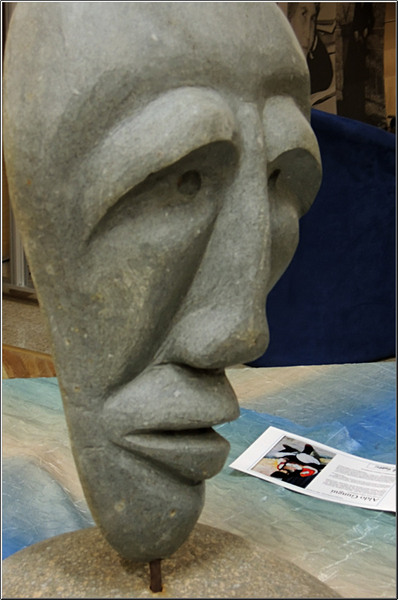 serbanvornicu_bibliotecanationalaseara_16