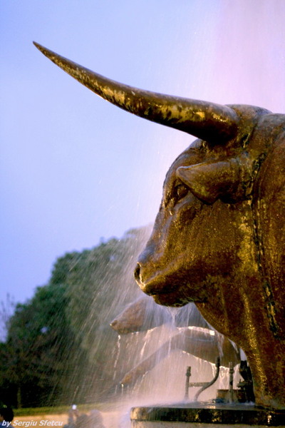 taurii-de-la-trocadero