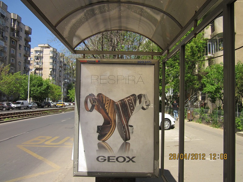 cv-statie123-2012_0428_120832