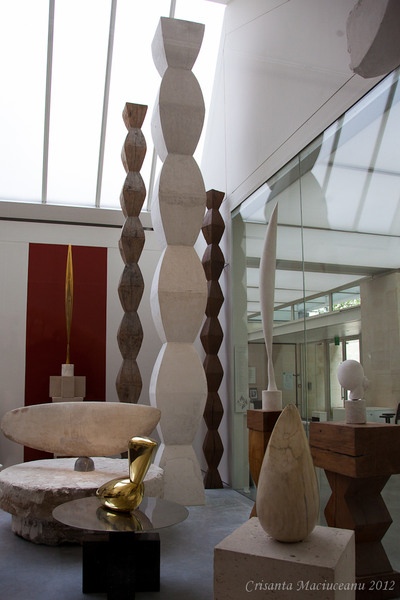 atelier-brancusi1