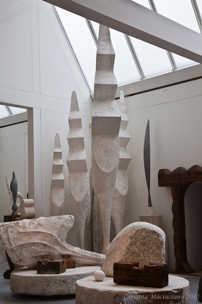 atelier-brancusi4