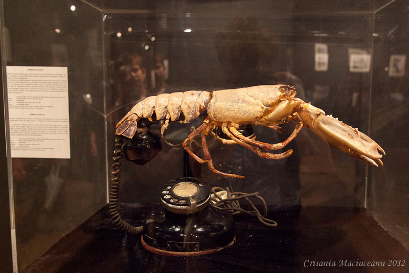 espace-montmartre-salvator-dali3