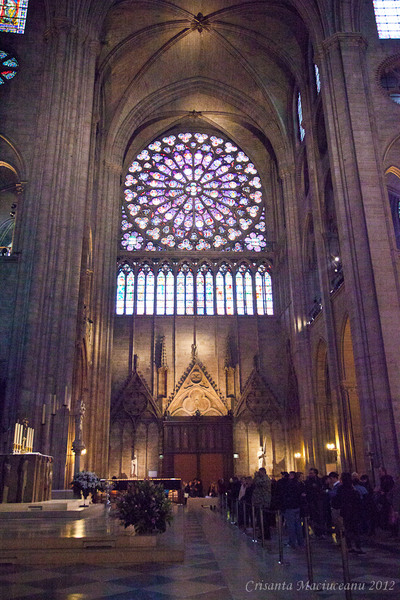 notre-dame6